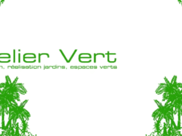 Atelier Vert : Recrutement d'expérimentés en conduite d’engins pour la prospérité de ses chantiers