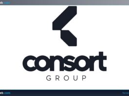 Consort Group recrute des consultants support informatique N1/N2