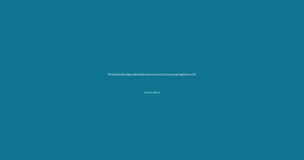 MintHR publie stage pré-embauche commercial & business Casablanca CDI