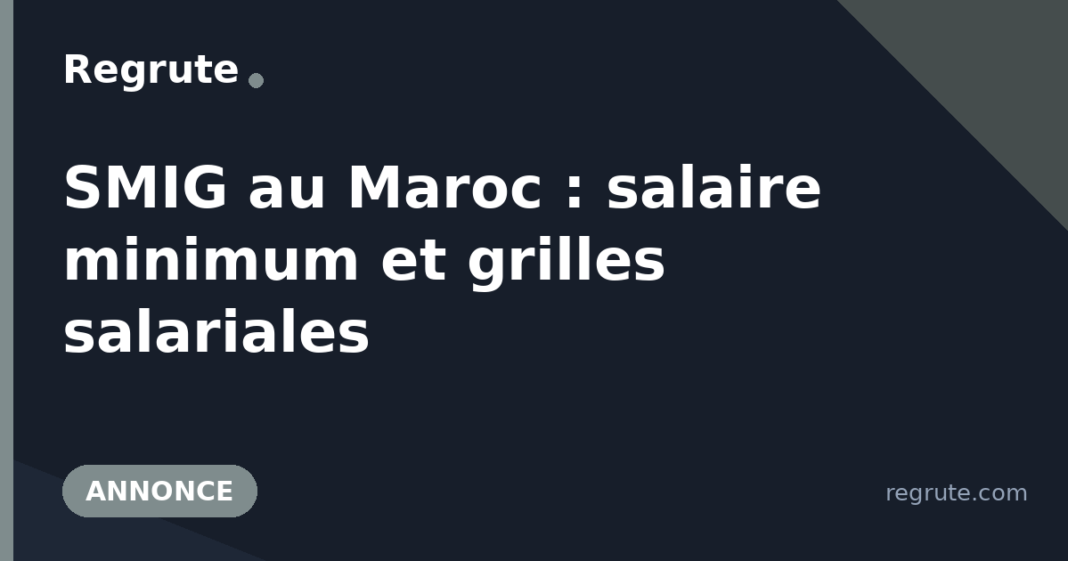 smig-au-maroc-salaire-minimum-et-grilles-009cec SMIG au Maroc : salaire minimum et grilles salariales
