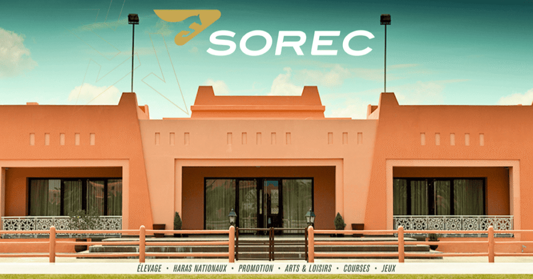 SOREC ouvre 7 CDI en CDI à Marrakech et villes voisines